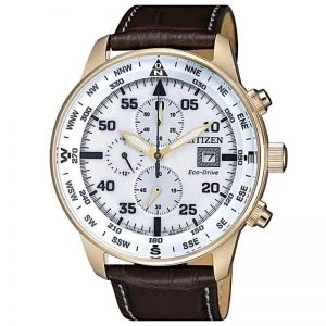 ca0693-12a-citizen